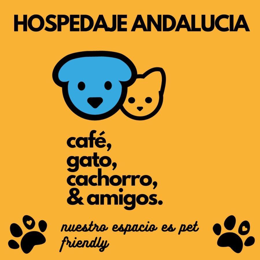 Casa Andalucia Hostel Florianópolis Εξωτερικό φωτογραφία